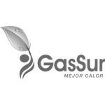 gassur escala de grises