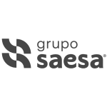 saesa escala de grises